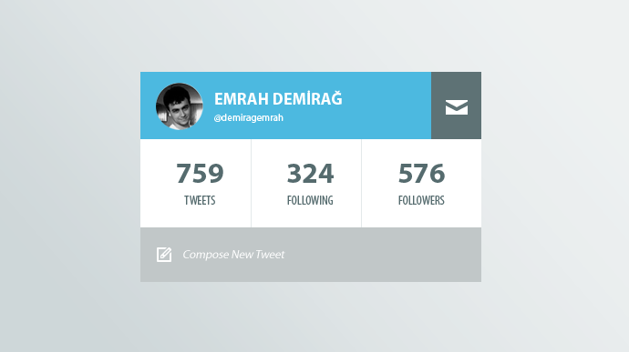 Twitter Profile Widget(PSD)