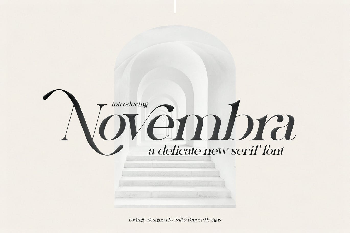 高端时尚优雅多用途的Novembra Serif 英文字体插图